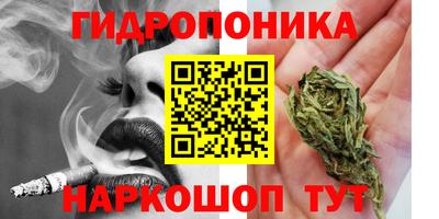 МДПВ Кингисепп