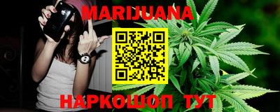 МДПВ Кингисепп