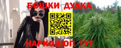 МДПВ Кингисепп